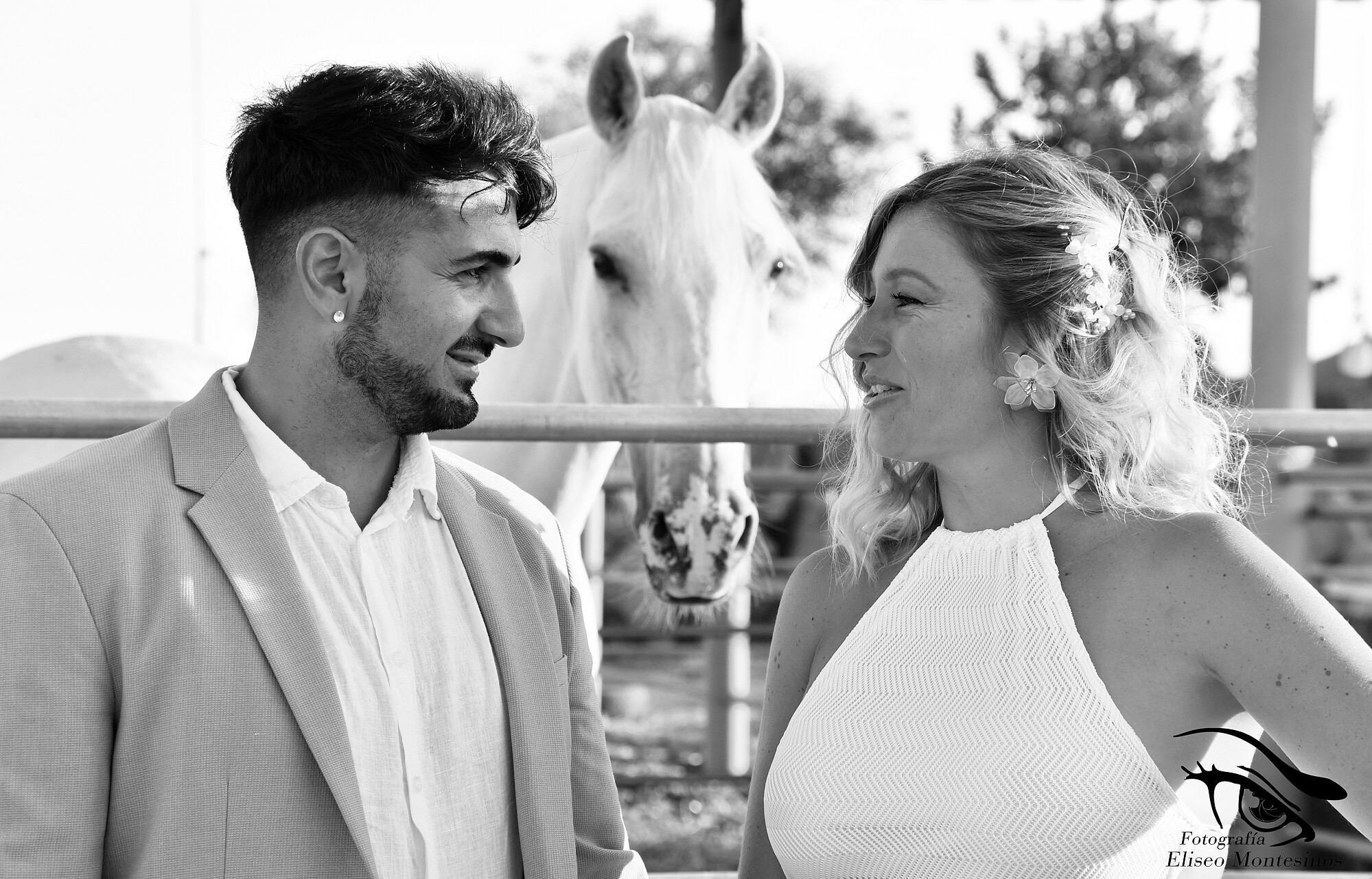 Sesión fotos caballos